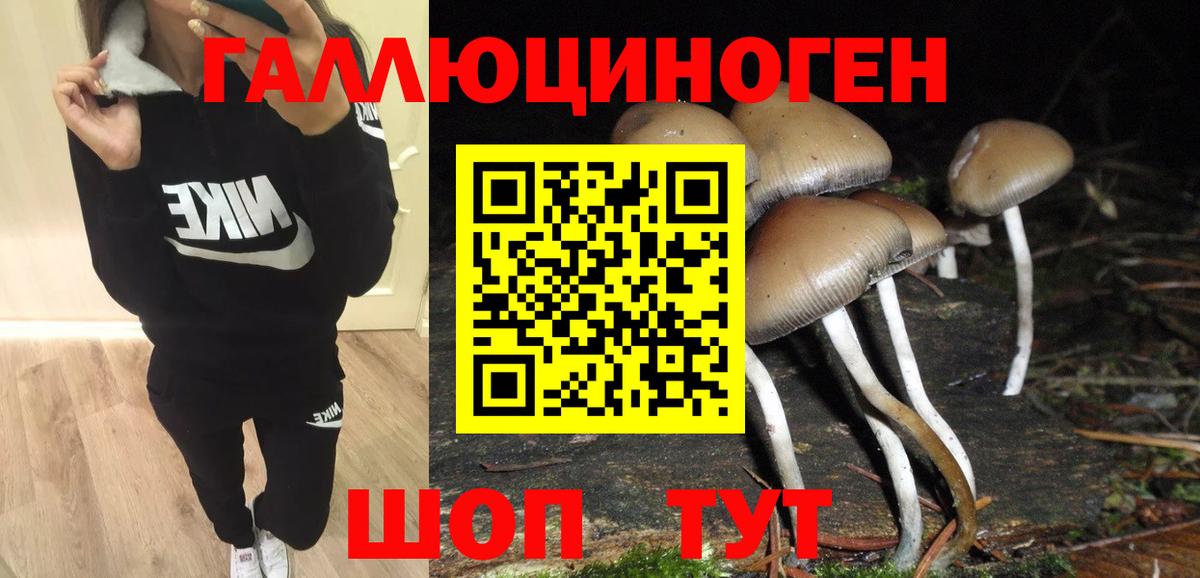 Псилоцибиновые грибы прущие грибы Юрга