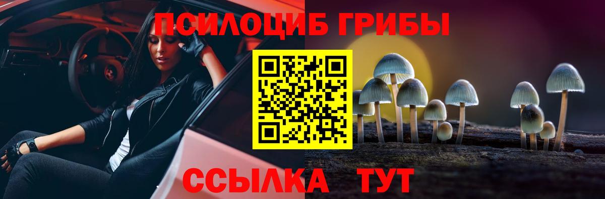 купить   Галлюциногенные грибы Magic Shrooms  Псилоцибиновые грибы GOLDEN TEACHER  Вход с VPN  Юрга 