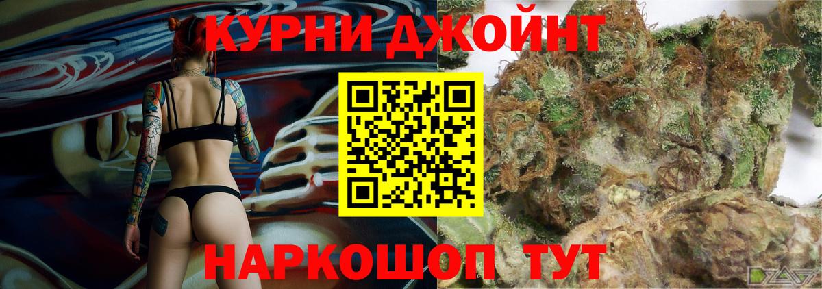 Конопля планчик Юрга