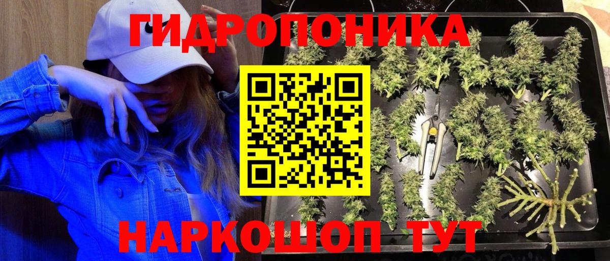 Канабис AK-47  МАРИХУАНА SATIVA & INDICA  Бошки Шишки THC 21%  Вход с VPN  Юрга 
